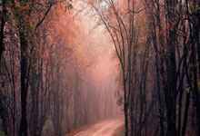 AI Ultra users gain access to Gemini 3 Deep Think mode