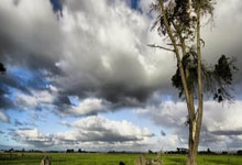 Google suddenly cuts the free version of Gemini, causing an uproar. Is data used for model training 